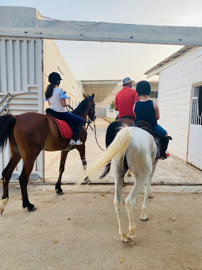 Abunayyan Equestrian Club - Saudi Arabia|Al Moqbel Palaces 19691|CFCP+P4H