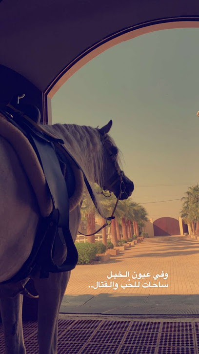 مربط القطيفان للخيل العربية الاصيلة - Al Quwarah 52660
