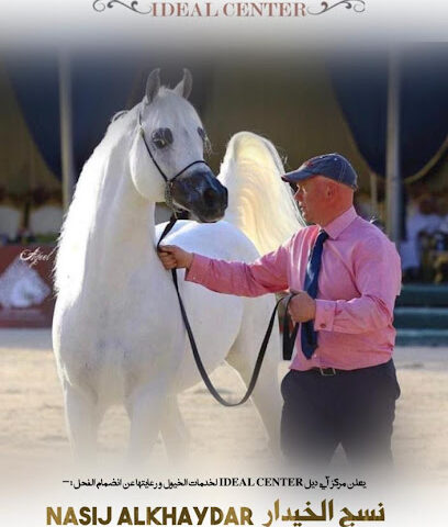 اسطبل ومربط رضوى - Al Qaid - +966 54 273 9682