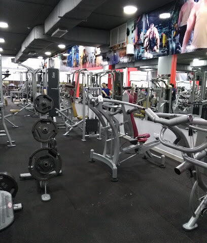 Saihat Fitness - Saihat - +966 13 837 0288