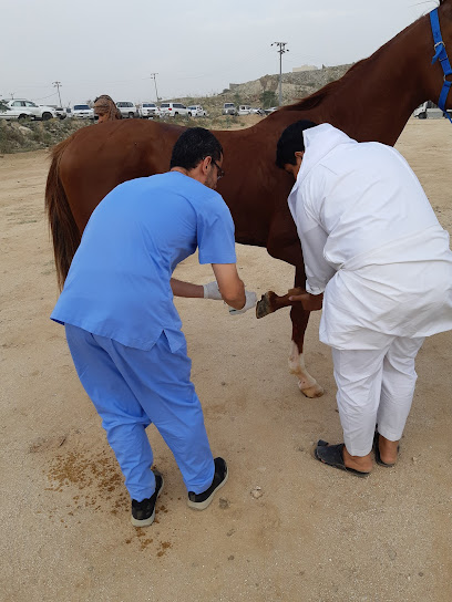 اسطبل للخيول - Saudi Arabia|Sabt Al Alayah 67311|Al Rabii|JX5C+GRP