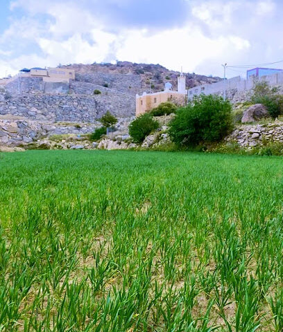 إستراحة خالد بن رفيع - Al Namas -