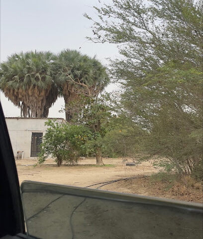 مزرعة الشيح يحيى البهكلي - Abu Arish - +966 50 055 6781