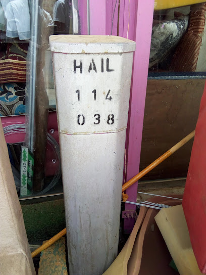 Consumer Wholesale Trading Establishment - Hail 55421