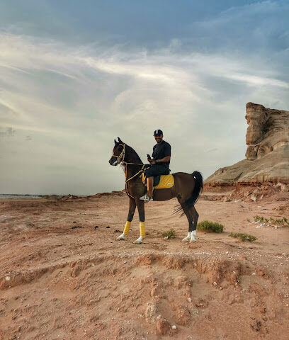 Arabian Horses Training center - الطرف - +966 59 840 1313