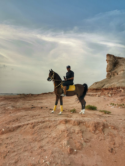 Arabian Horses Training center - Saudi Arabia|الطرف 36379|نادي الفروسيه