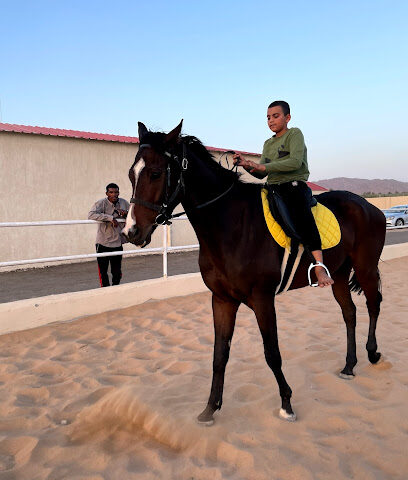 مربط الأمواج للخيل والفروسية - Al Madinah Al Munawwarah - +966 59 162 9174