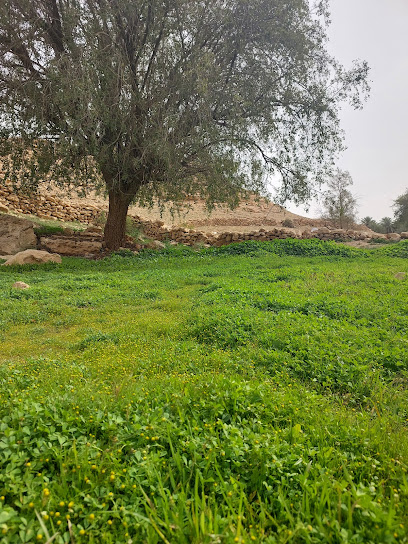 أعسال برية - Saudi Arabia|Az Zulfi 34255|طريق عريعرة