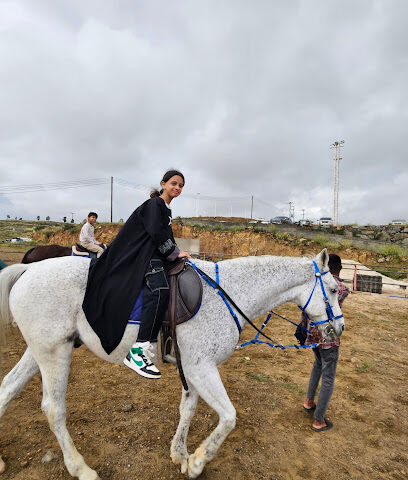 مربط خير النواصي للخيل العربية الأصيلة - Abha - +966 53 666 4557