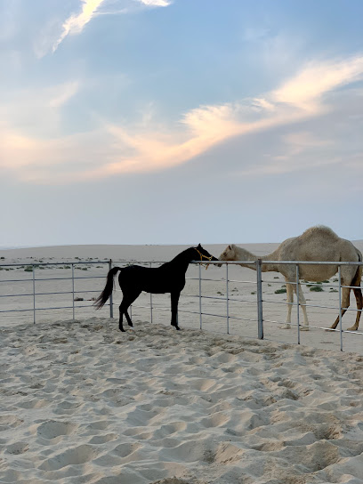 مربط العبا للخيل العربية الأصيلة - Saudi Arabia|Al 'Aba 32944|PQQ4+G2F