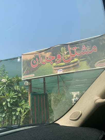 Lily flower nursery - Saudi Arabia|Almahameed 22388|C9MW+QHR