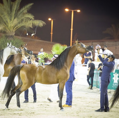 مربط سارة عز - Jeddah - +966 59 406 0029
