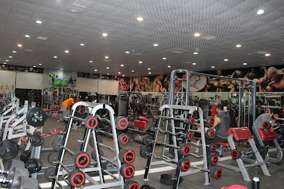Our Golden Gym - Arar - +966 53 213 7875