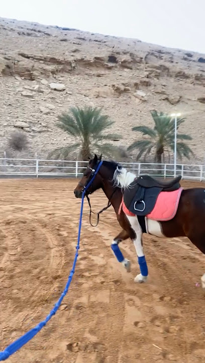 Al Wadi Stables - Saudi Arabia|Riyadh 12934|Hijratlaban