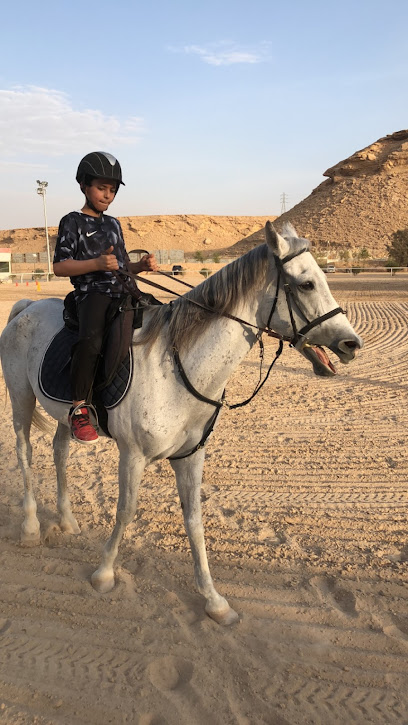 Horse Riding Club Alsaphenat - Saudi Arabia|Riyadh 12531|طريق المهدية،