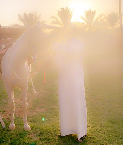 Stud Al-Zamaliyah - Unayzah - +966 55 116 1444