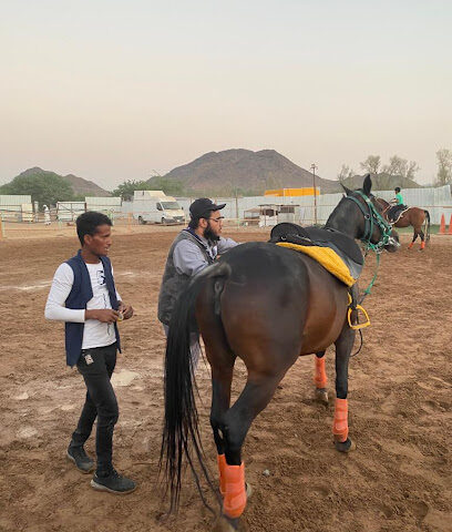 مربط برق السما للخيل العربية الأصيلة - Al Madinah Al Munawwarah - +966 54 366 0332