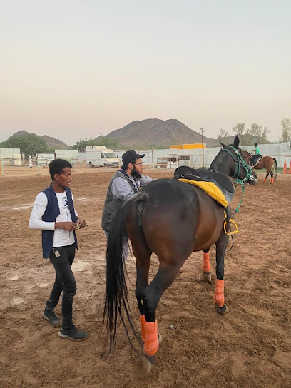 مربط برق السما للخيل العربية الأصيلة - Saudi Arabia|Al Madinah Al Munawwarah 42336|As Sadiqiyyah|مخطط الزهرة