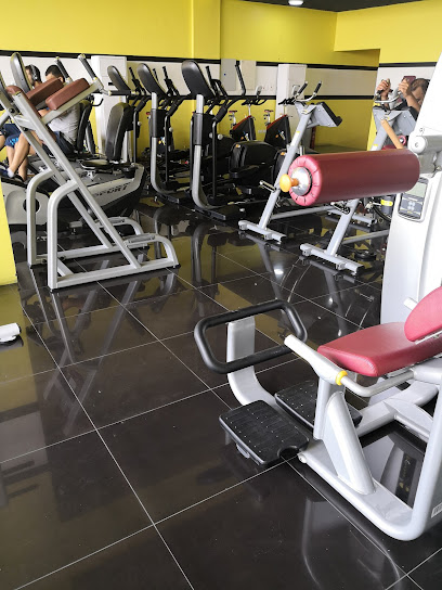Lion Gym - Saudi Arabia|Al Qatif 32467|Ar Rayah