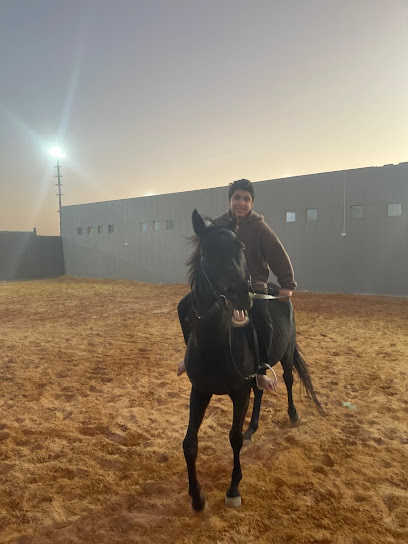 مربط المحارب للخيل العربية الأصيلة - Riyadh 13635