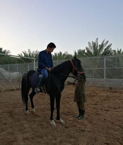 مربط واسطبلات حاتم للخيل العربية - Al Madinah Al Munawwarah - +966 56 700 0766