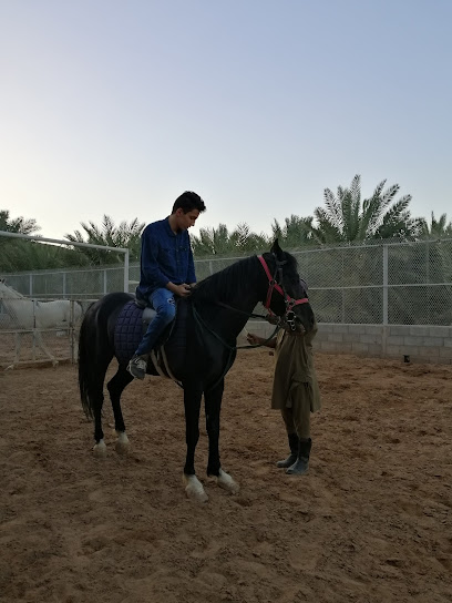 مربط واسطبلات حاتم للخيل العربية - Saudi Arabia|Al Madinah Al Munawwarah|Unnamed Road