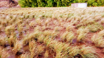 بقالة بن سبران - Almajaridah -