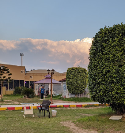 جاردن كافيه Garden Cafe - Taif - +966 54 240 0067