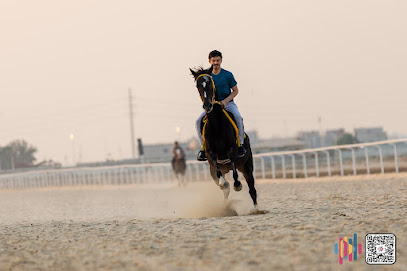 اسطبل الشرق - Dammam - +966 53 664 1196