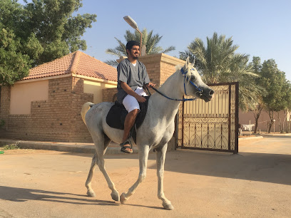 مربط صهوه للخيل العربيه الأصيله - Riyadh -