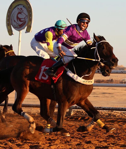 أسطبل صالح الشريده العتيبي وأبنائه - Sakaka - +966 53 030 1213