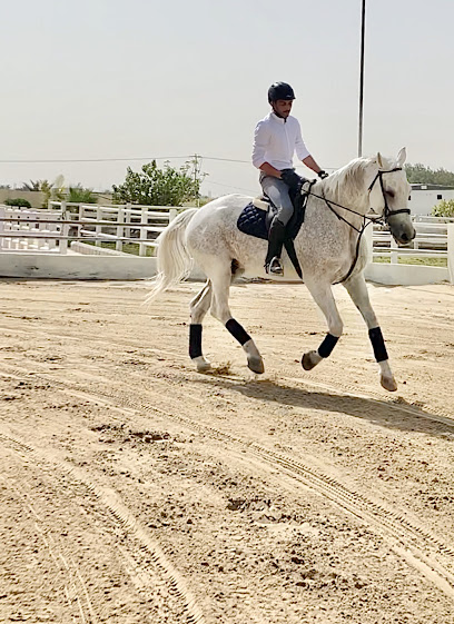 مربط الماسة للخيل العربية الأصيلة Almassah Stud - Saudi Arabia|Safwa 32911|MVFX+84C