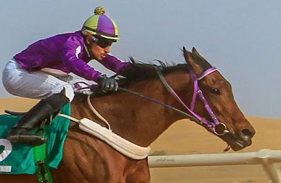 اسطبل وادي السرحان - Sakaka -