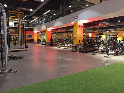 Gold's Gym - Abha - +966 12 224 9951
