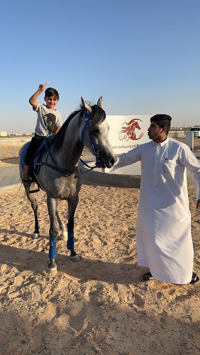 مربط الفهد للخيول والتدريب - Saudi Arabia|Al Qurayyat 77445|995F+98
