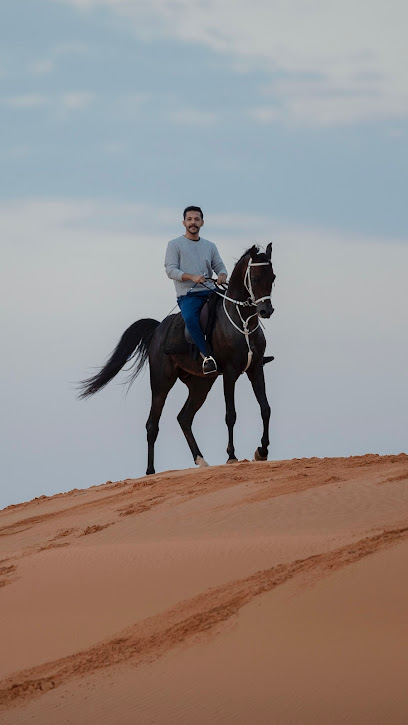 مربط الفهيد - Saudi Arabia|Hail|Unnamed Road|9HVX+6G5