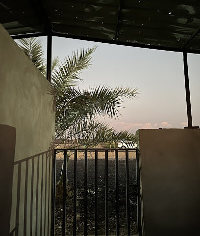 إسطبل المودة - Al Madinah Al Munawwarah - +966 56 522 4429