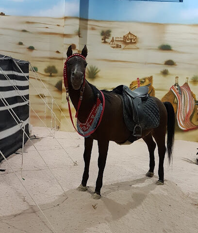 اسطبلات وميدان فروسية حفرالباطن - Hafar Al Batin - +966 55 558 4250