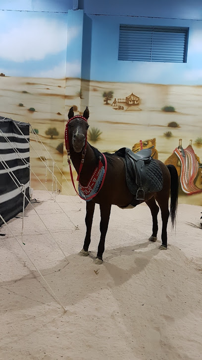 اسطبلات وميدان فروسية حفرالباطن - Saudi Arabia|Hafar Al Batin 39919|Ar Rabi|اسطبل