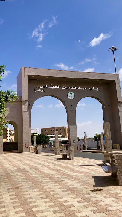AlAbaas Door - Taif 26522