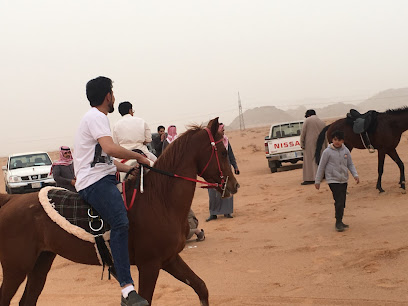 مربط البراهيم للخيل العربيه - As Subayhyah - +966 54 071 2212