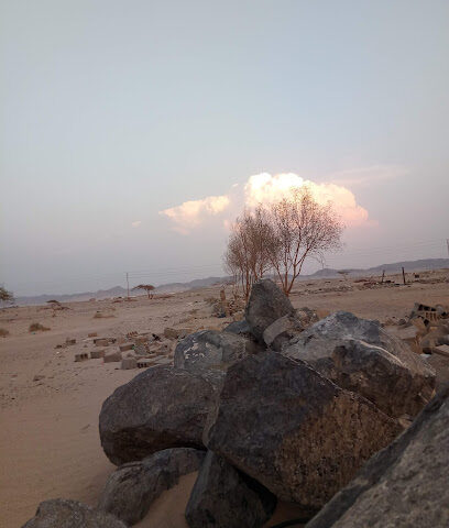 مربط سفير الجموم للخيل العربية - النزهة - +966 55 850 3978