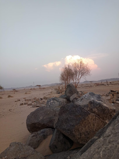 مربط سفير الجموم للخيل العربية - Saudi Arabia|النزهة 25327