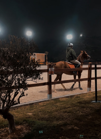 Abia Equestrian Center - Saudi Arabia|Riyadh 12752|Ar Rafiah|JMP2+P87