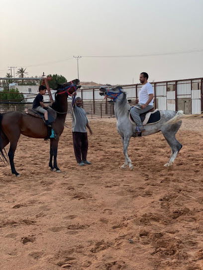 مربط ديالي للخيل / بالهلالية - Saudi Arabia|مركزالهلالية 28145|جنوبا|طريق الرياض القصيم السريع