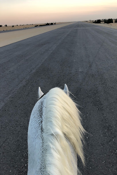 مربط الفارس للخيل العربيه الأصيله - Saudi Arabia|35532|3991، الجبيل 35532 7481،