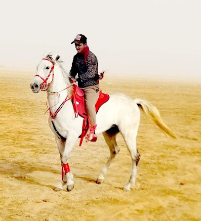 اسطبل السيف - Dhahran - +966 53 664 1196