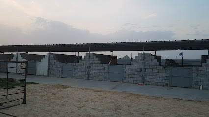 مربط قمّة الإصرار لتدريب الفروسية - Safwa - +966 59 676 9874