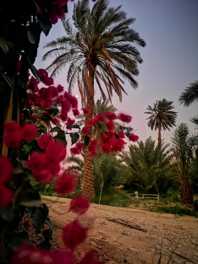 مزرعة أبناء عبدالله بن محمد المقرن رحمه الله(الحزيمية) - Saudi Arabia|5593، الدلم 16221 9389،