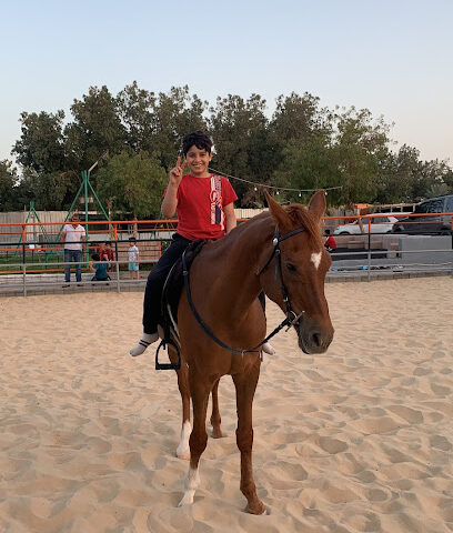 مربط الفاضلية للخيل العربي الاصيل - Safwa -